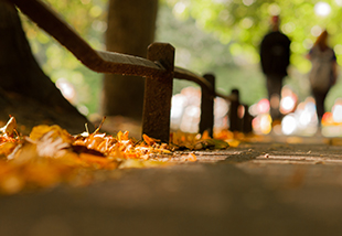 Are retirees spending their savings effectively?