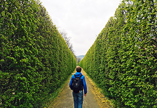 Income reimagined: expanding DC from saving to spending