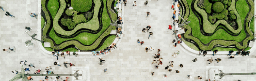 Municipal Market Insight