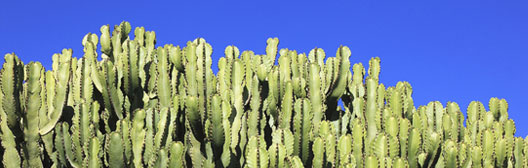 How inflation volatility is hurting hedges