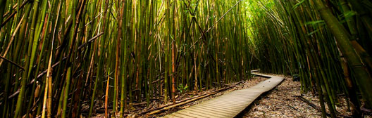 Will markets return to normal in 2023?