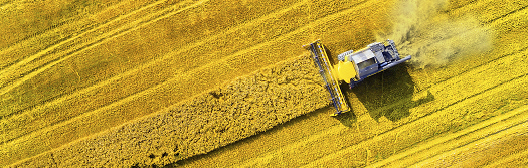 An end to tightening supports gold