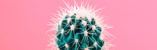 The missing link: Adding emergency savings solutions to retirement plans