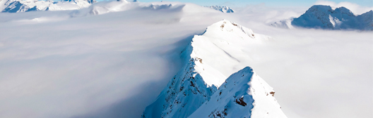 Economic resilience complicates hedging with bonds