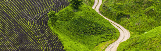 As the economy slows, favor consistency over volatility