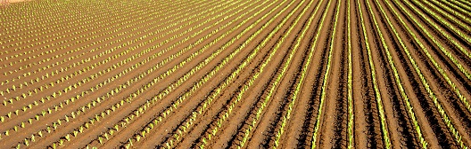 Stealth stagnation: why the U.S. economy is not as robust as you think