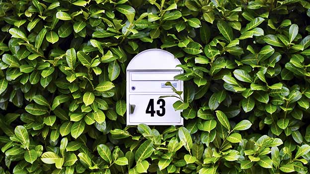 A mailbox integrated into a hedge, featuring a visible number, representing receving retirement inisghts to your inbox.