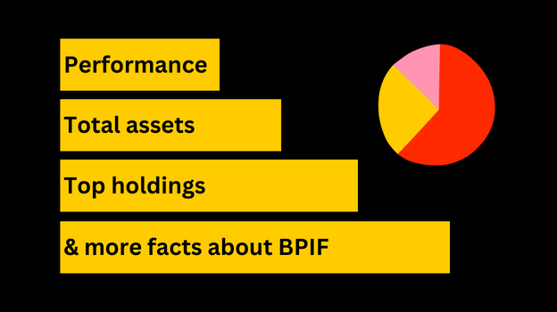 bpif portfolio snapshot pie-chart