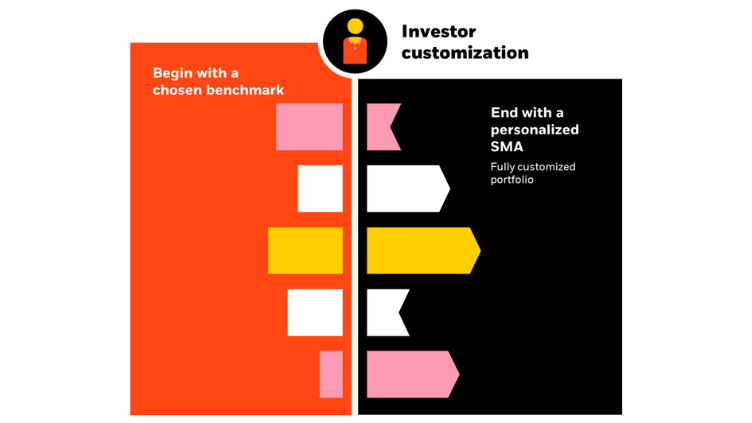 Graphical image about investor customization