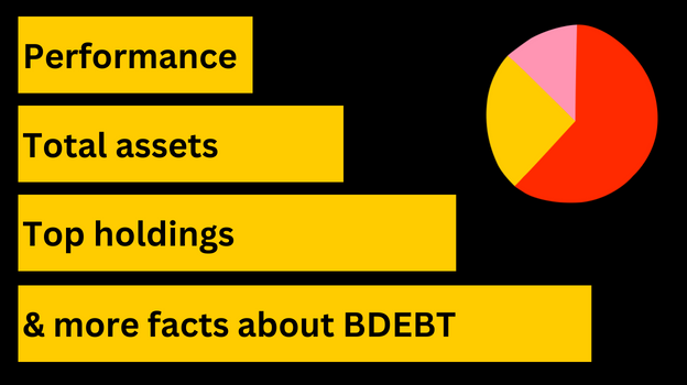 key facts bdebt