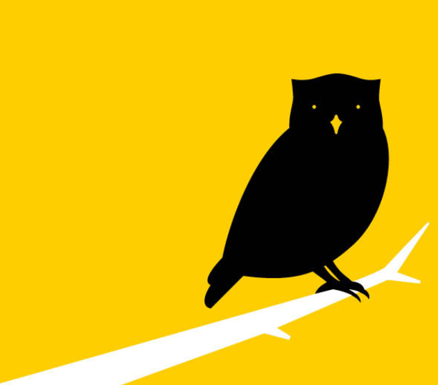 Image of Owl on a branch