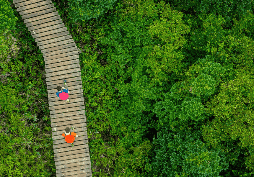people walking on bridge over water