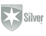 Silver Morningstar Analyst Rating