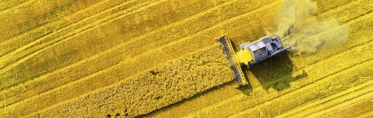 Gold country field with tractor