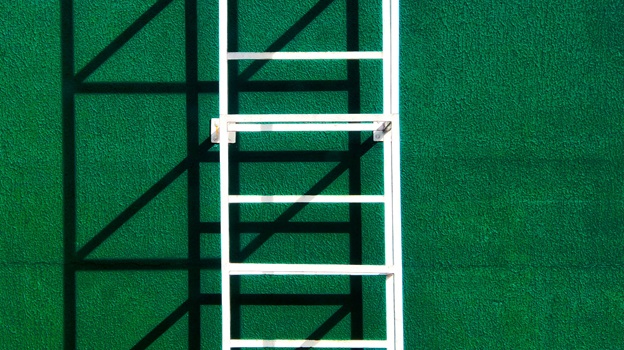 Green ladder