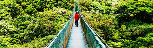 Person crossing a bridge in the woods