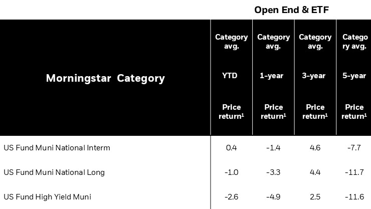 Table of Morningstar category returns for US muni funds. High Yield Muni shows -2.6% YTD and -11.6% over 5 years, while National Long and Intermediate categories also show negative long-term returns