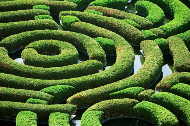 Aerial view of a green hedge maze