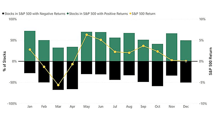 Bar chart showing percentage of stocks with negative and positive returns