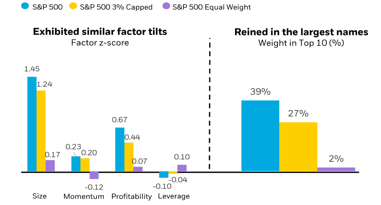 The second set of bar charts representing the % of the top 10 holdings in the S&P 500, the S&P 500 3% Capped Index, and the S&P 500 Equal Weight Index 