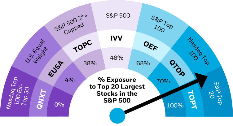 Percentage exposure to the top 20 largest stocks in the SP 500
