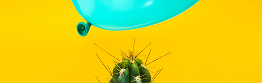 Blue balloon and cacti close