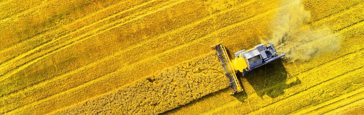 Image of a gold-pastured field with a tractor