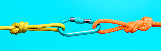 Ropes clipped together.