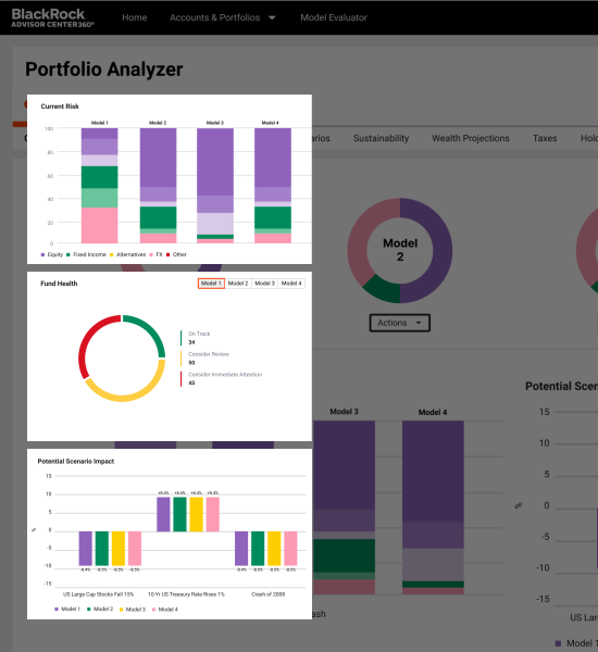 Portfolio Analyzer tool screen