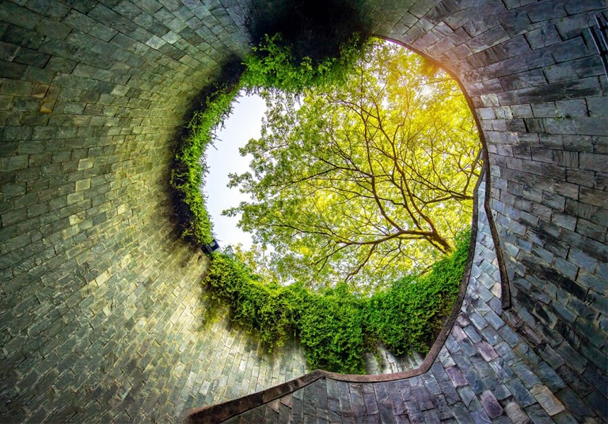 Stone spiral staircase looking upward to an opening framed by greenery.