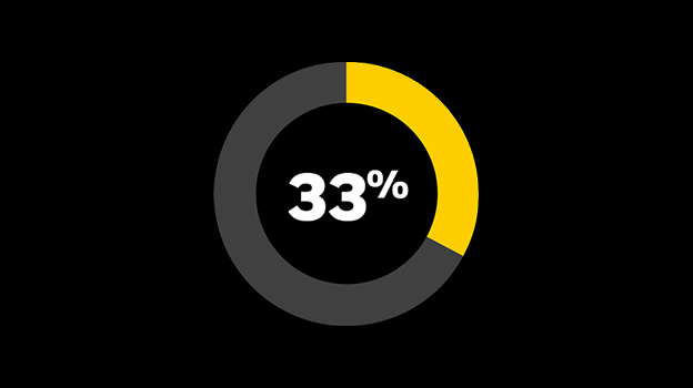 Pie chart depicting 33%