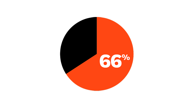 Pie chart depicting 66%