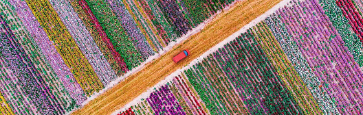 Driving through a field