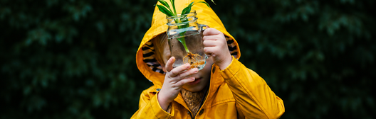 Child examining the growing roots of a young plant
