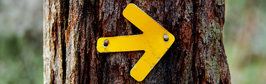 arrow pointing forwards