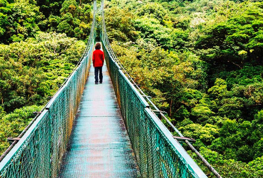 Sustainable investing: resilience amid uncertainty