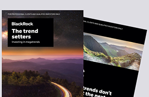 Investing in megatrends