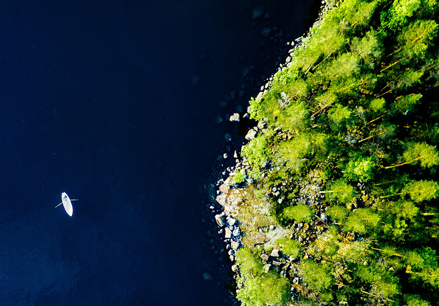 A boat sails on calm waters next to a green forest.