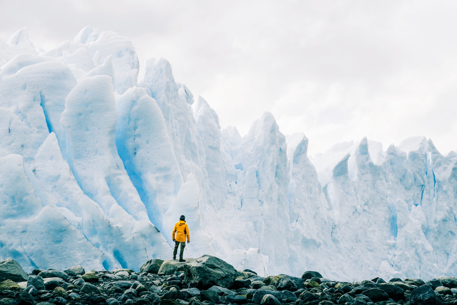 Person dressed in yellow in front of icebergs