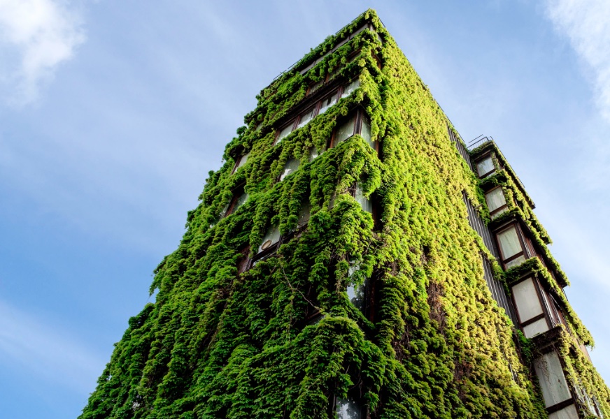Edificio con vegetación