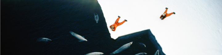 Astronauts