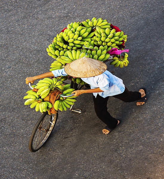 Bike with bananas