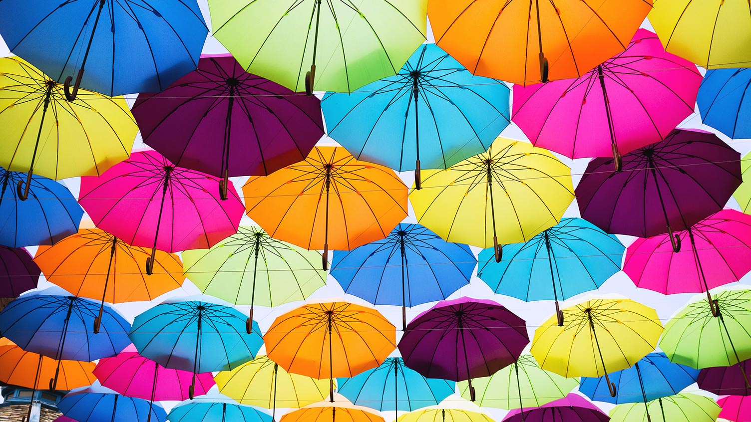 Bild von Regenschirmen