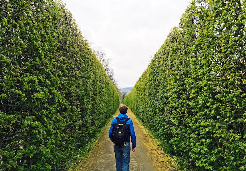 Eine Person, die auf einem Weg mit Bäumen geht