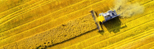 A tractor working in a field