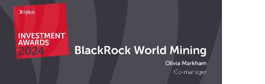 BRWM AJ Bell Investment Award winner