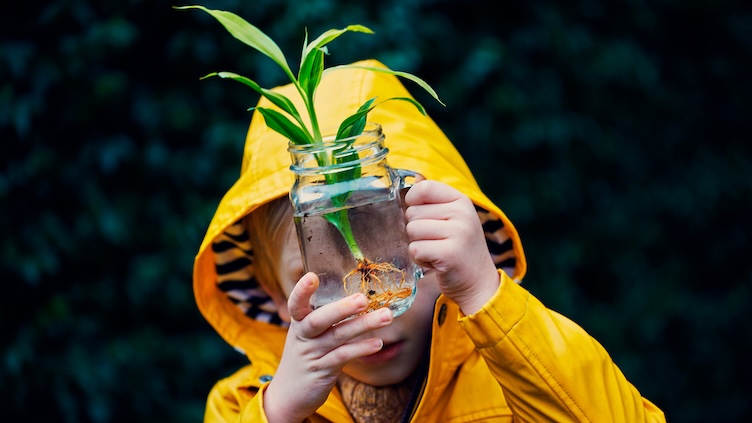 Photo of child examining a plant