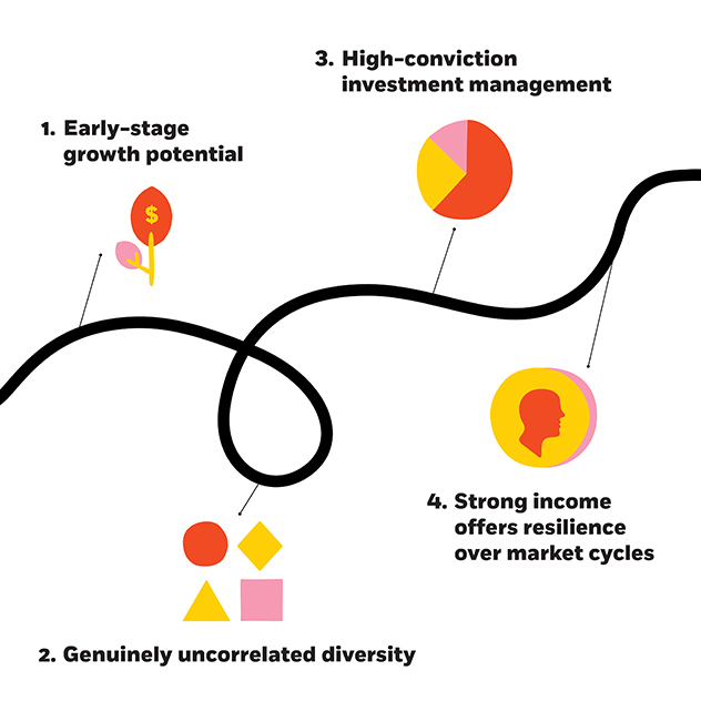 Graphical representation for The smart diversifier you’re probably overlooking