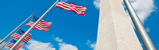 Flags of the United States
