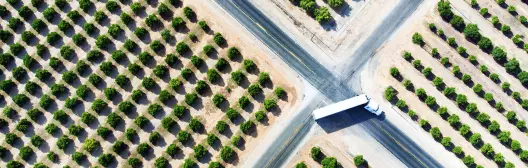 Immagine del terminale